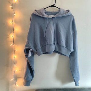 Aritzia Tna Super Crop Hoodie in Dune Blue